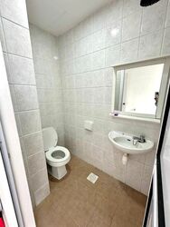 Grand Chateau (D21), Condominium #539861871